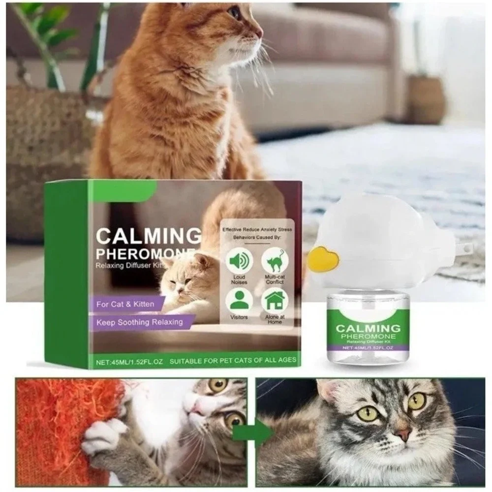 Gentle Cat gentle cat